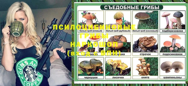 стафф Вяземский